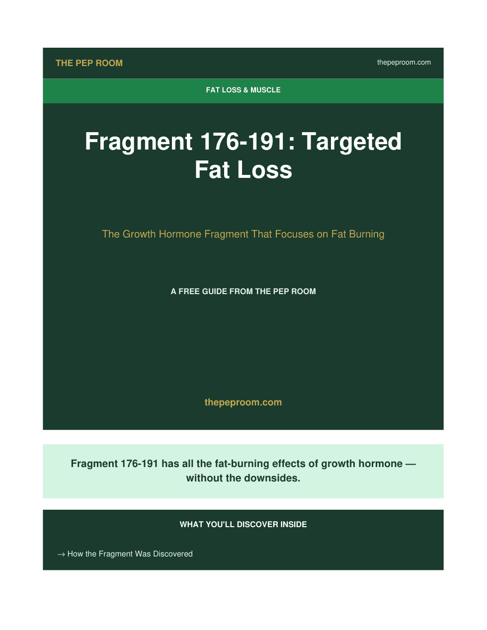 First page preview of Fragment 176-191 Guide