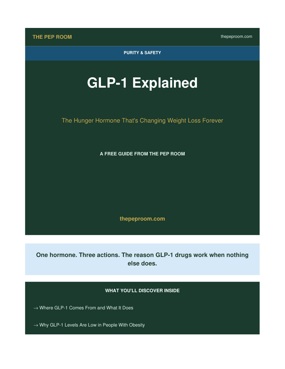 First page preview of GLP-1 Explained The Hunger Hormone